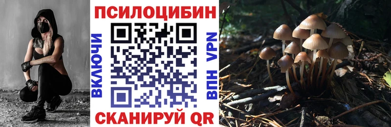 Галлюциногенные грибы прущие грибы  Краснозаводск 