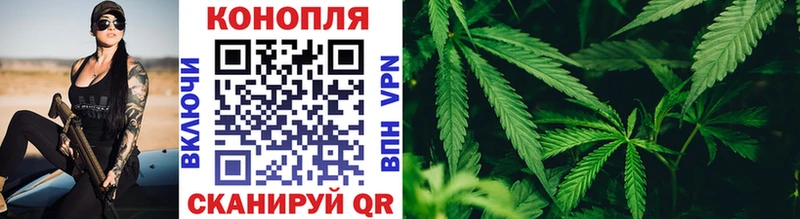 omg онион Краснозаводск МАРИХУАНА Amnesia